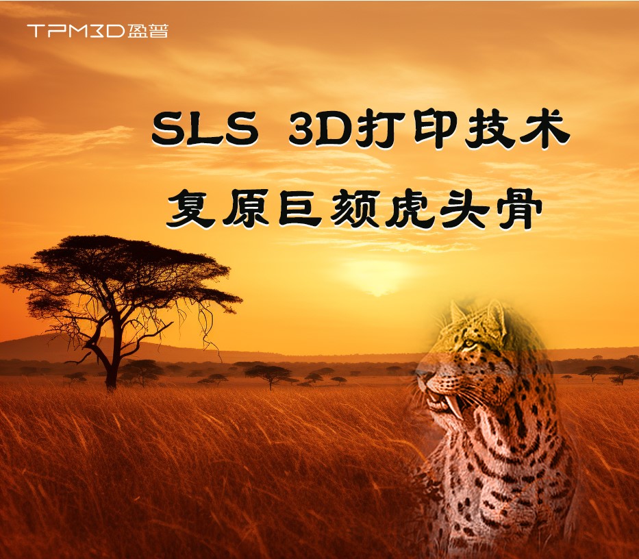 古化石新科技的碰撞丨看SLS 3D打印如何复原巨颏虎头骨